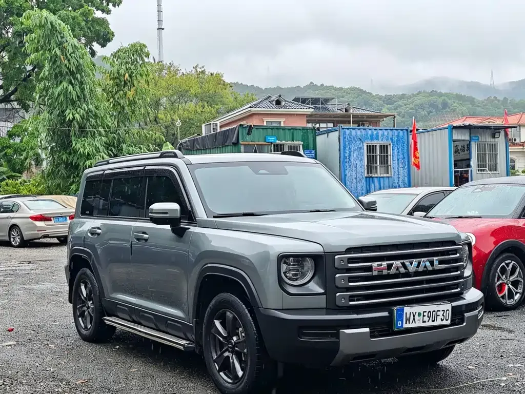 Haval Menglong New Energy 2024 из CN, фото 8