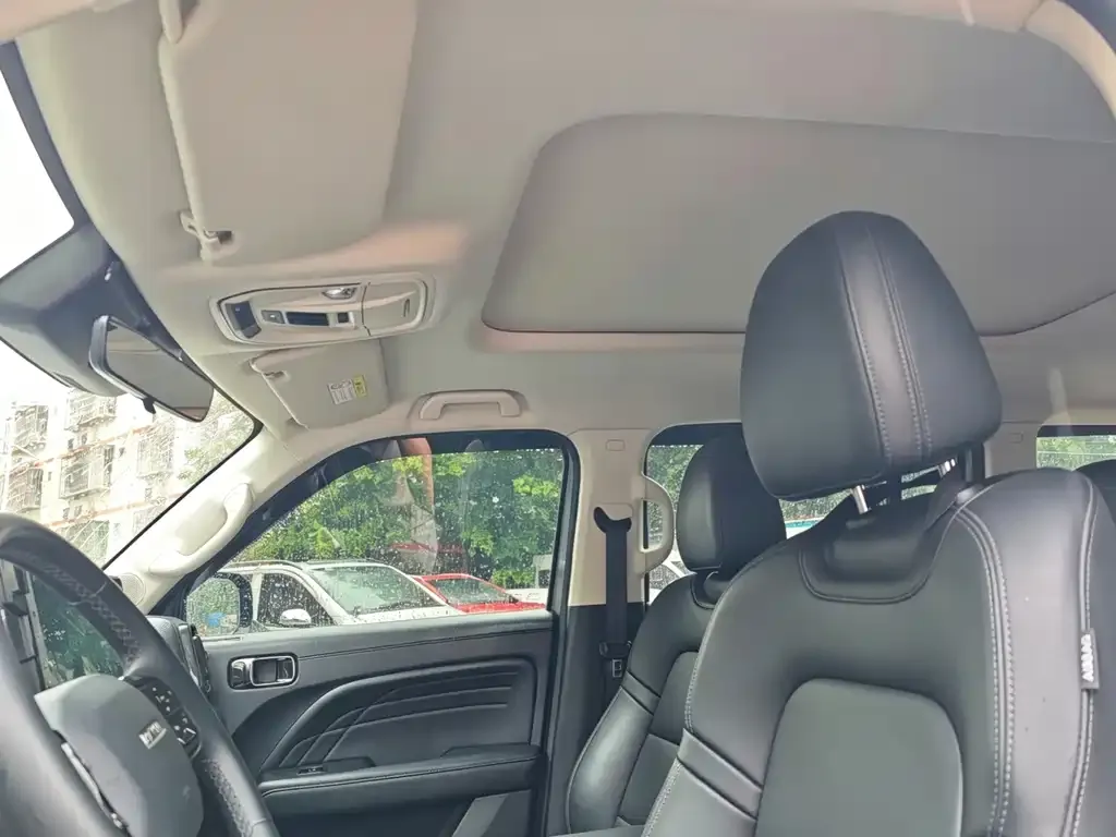 Haval Menglong New Energy 2024 из CN, фото 2
