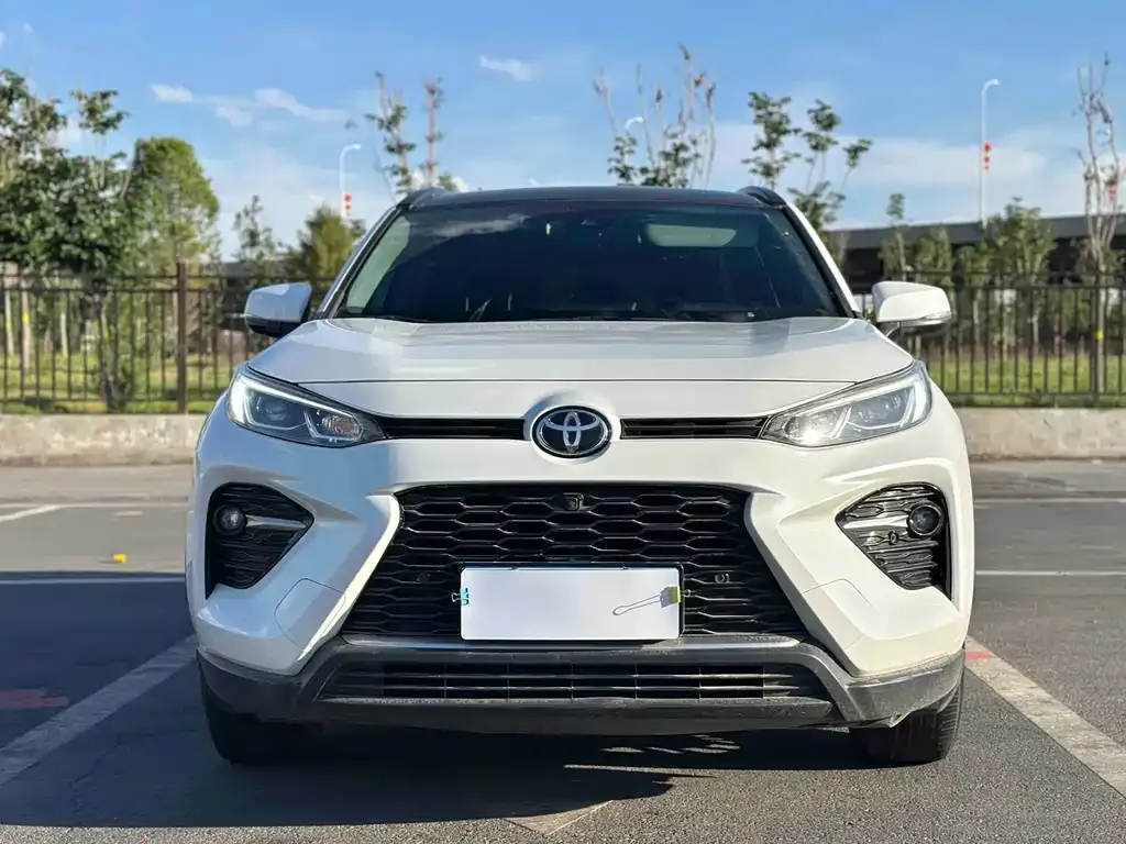 Toyota Wildlander 2024 из CN, фото 10