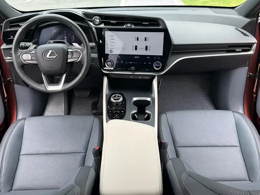 Lexus RZ — фото 6