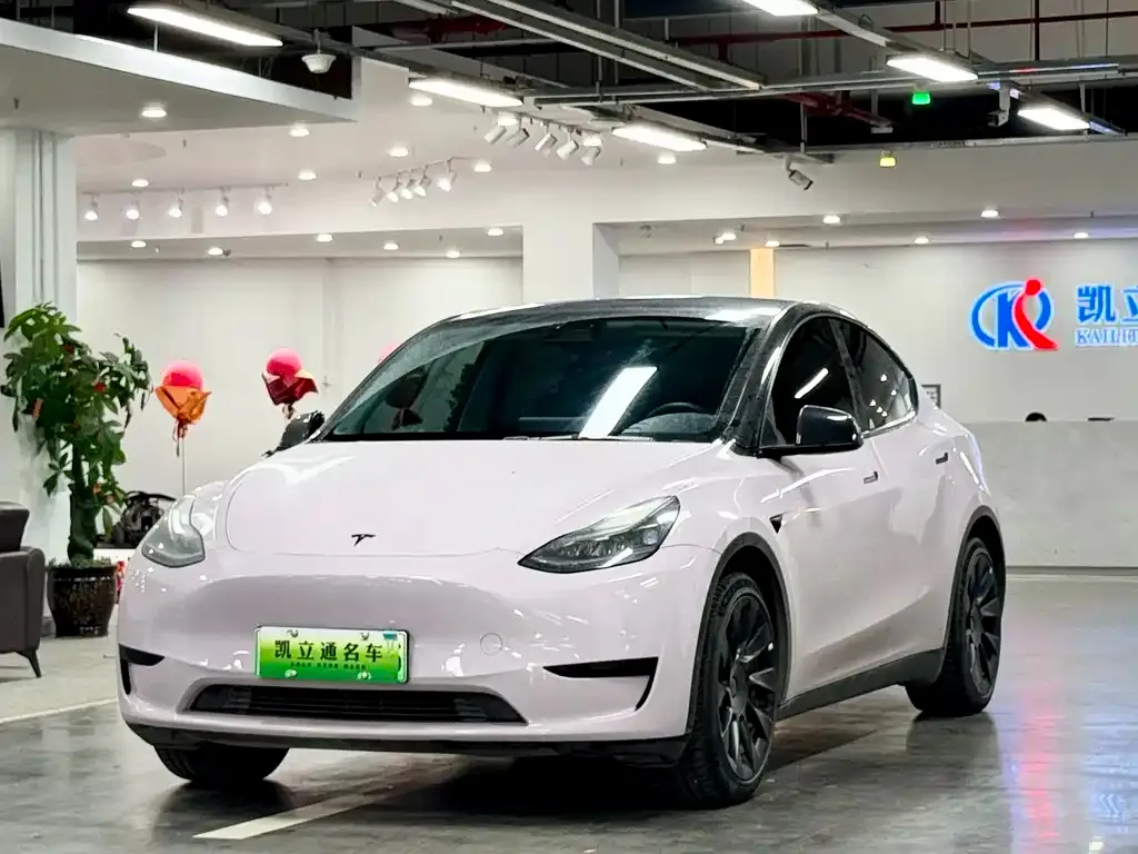 Tesla Model Y — фото 1