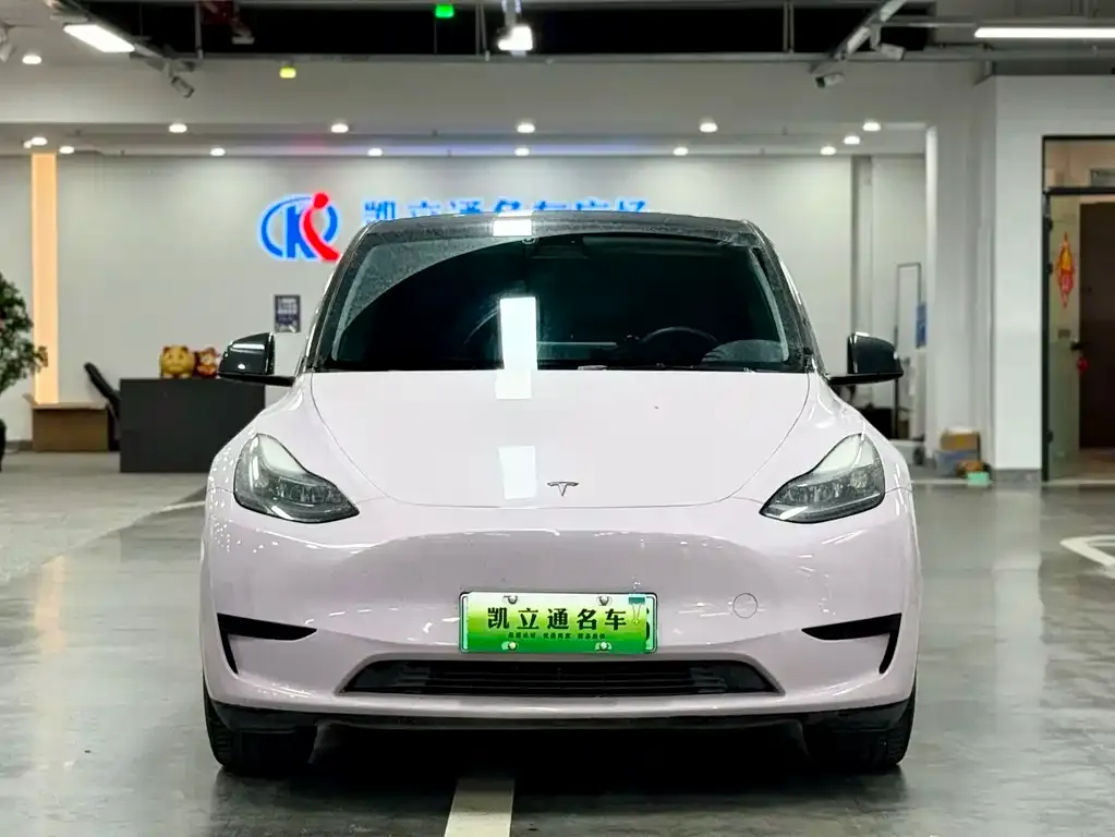 Tesla Model Y — фото 5