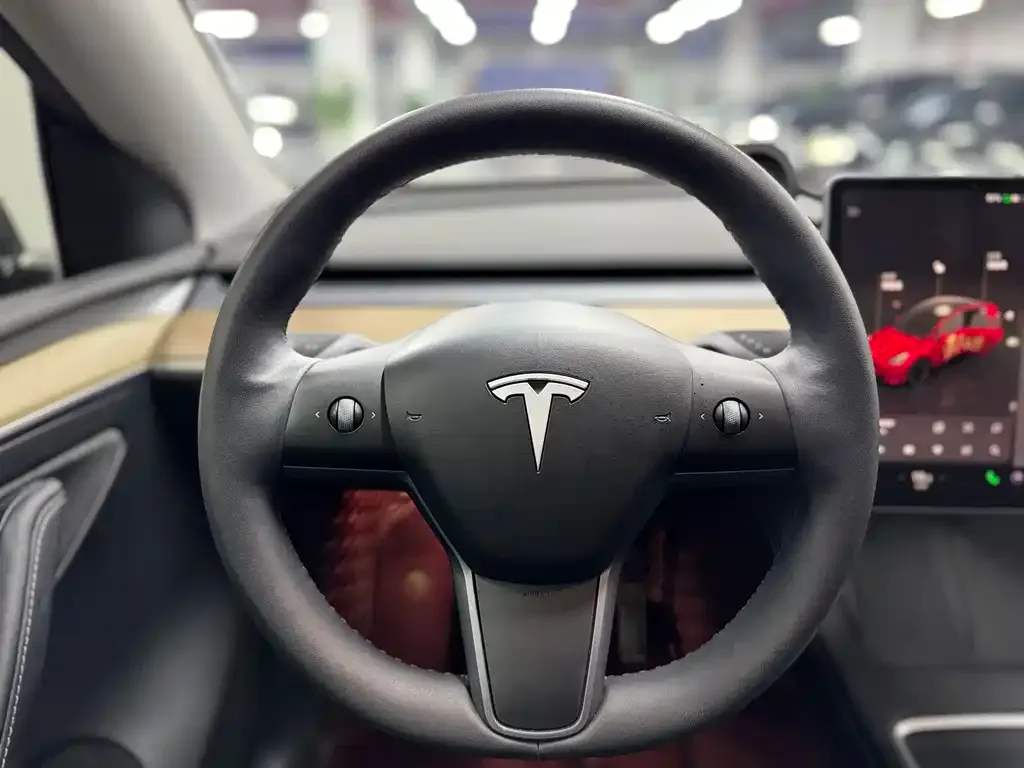 Tesla Model Y — фото 2