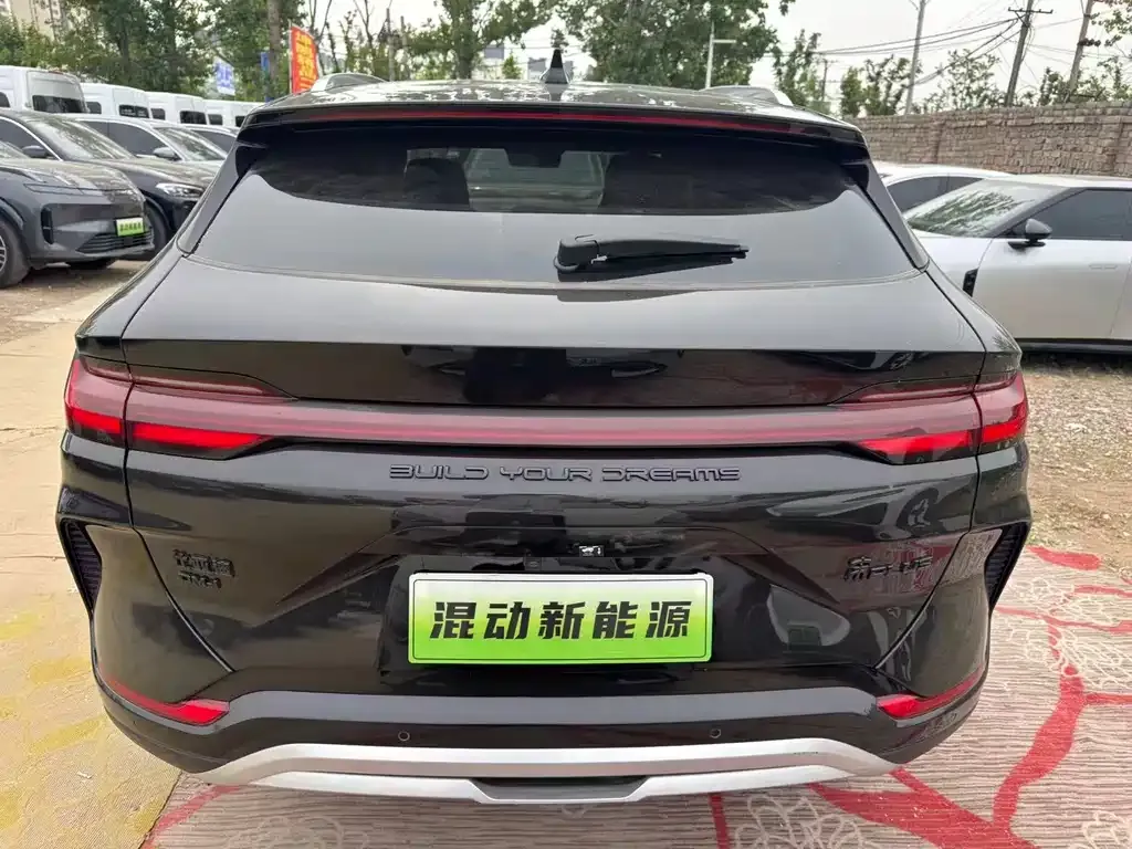 BYD PLUS New Energy — фото 2