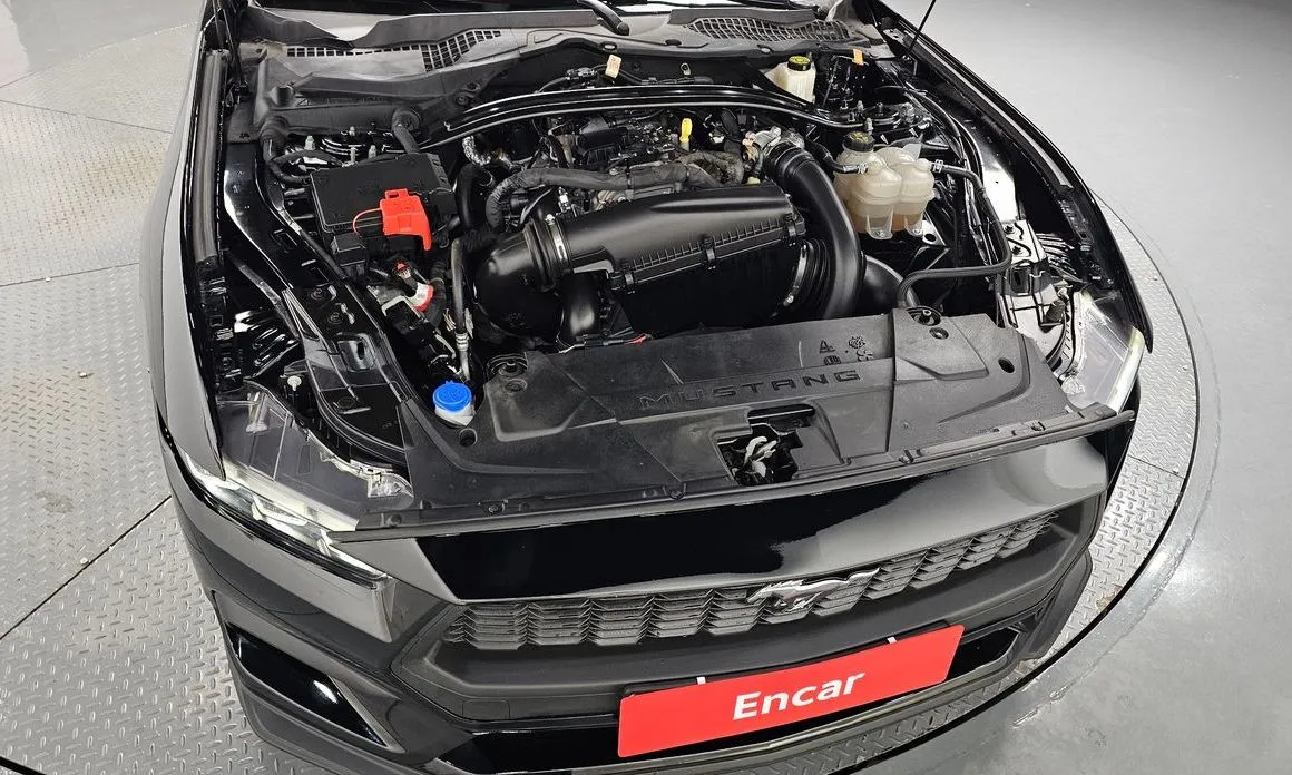 Ford Mustang 2024 из KR, фото 7