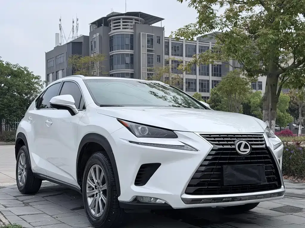 Lexus NX 2021 из CN, фото 3
