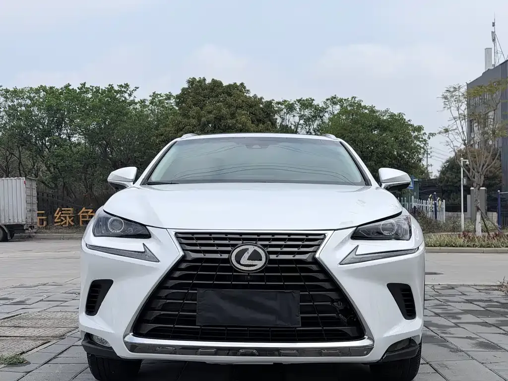 Lexus NX 2021 из CN, фото 4