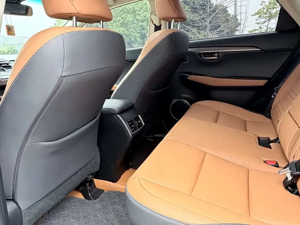 Lexus NX 2021 из CN, фото 5