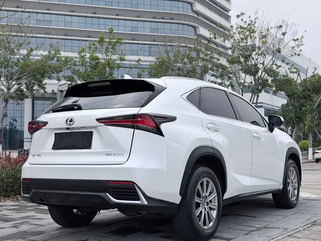 Lexus NX 2021 из CN, фото 9