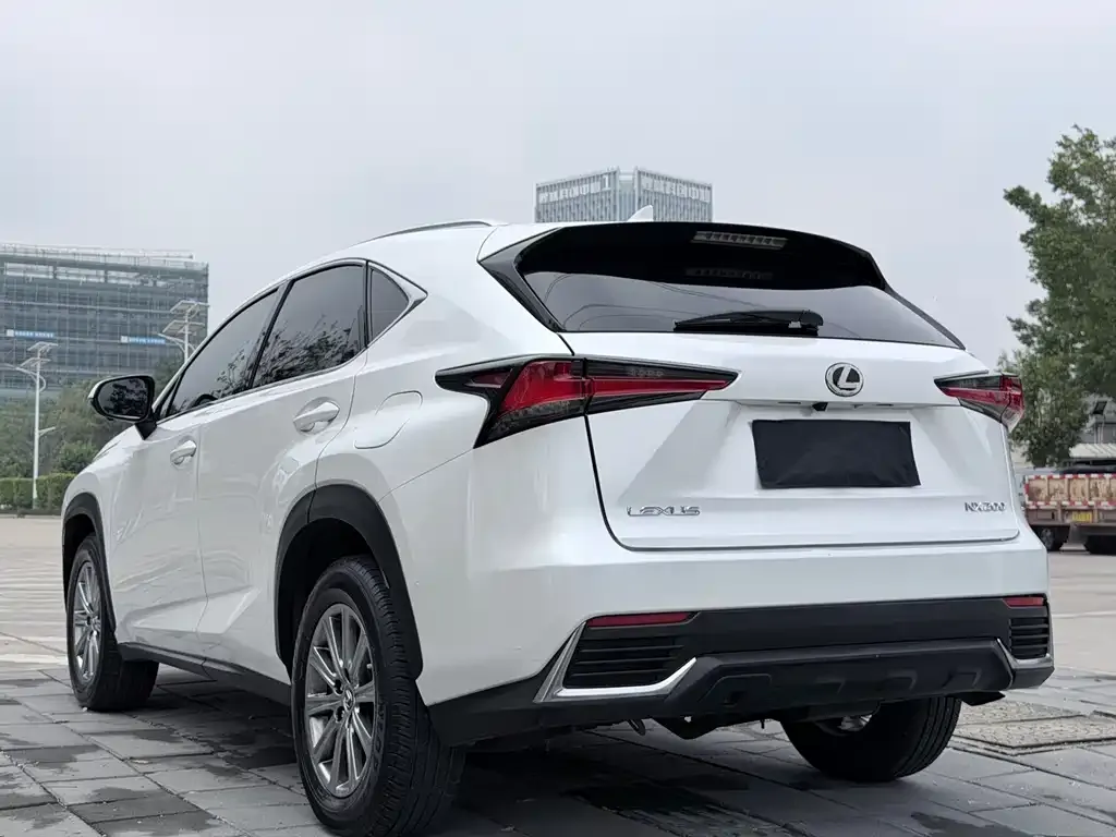 Lexus NX 2021 из CN, фото 8