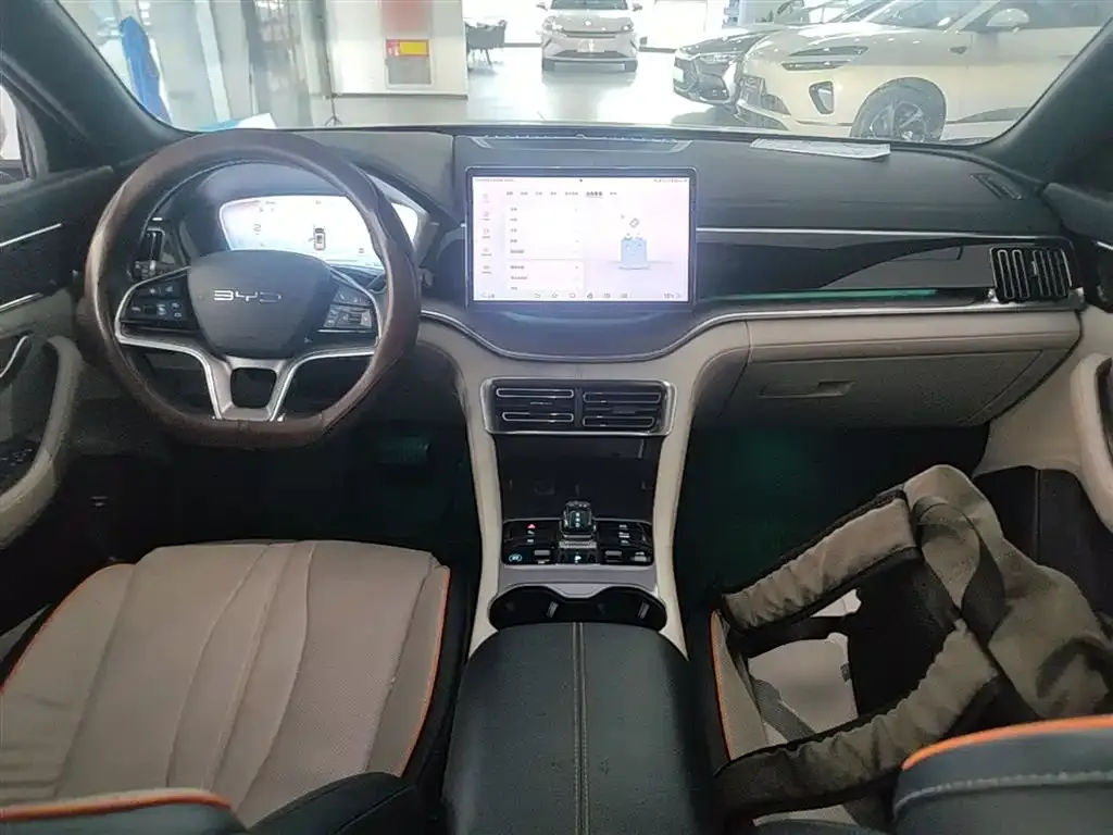BYD PLUS New Energy — фото 10