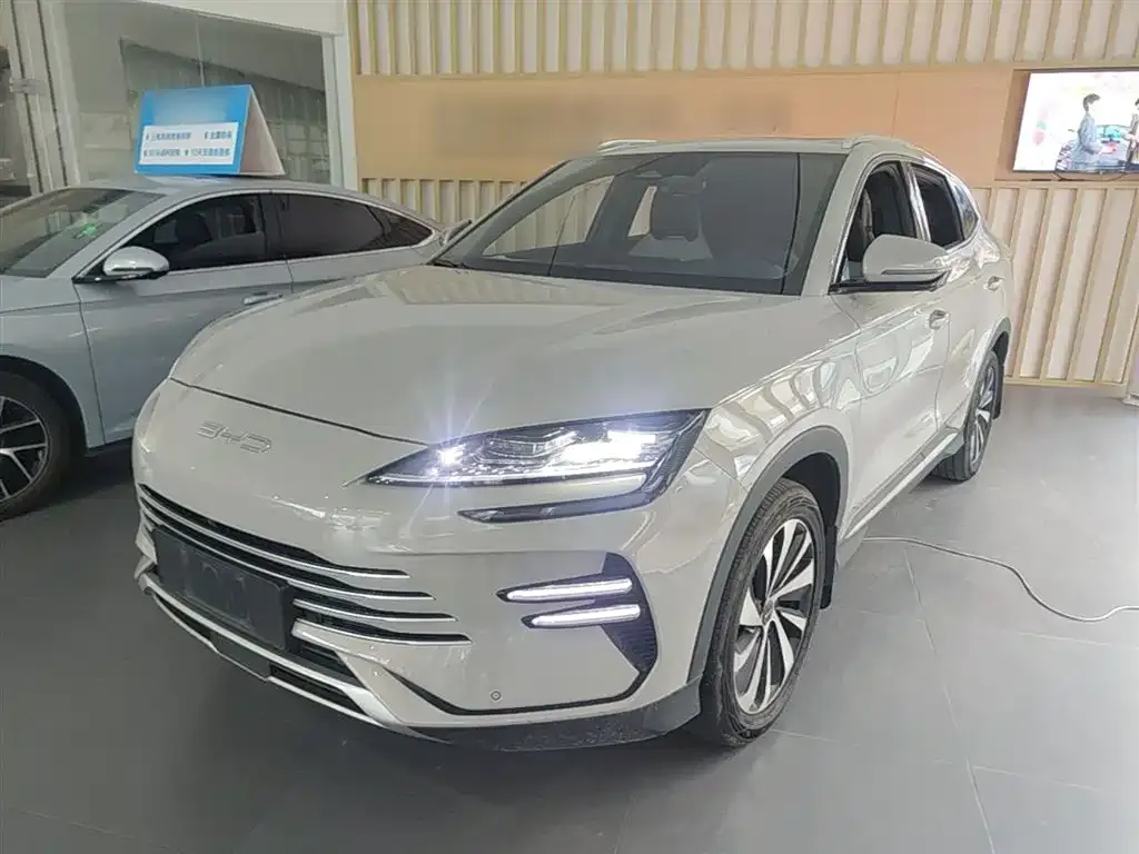 BYD PLUS New Energy — фото 7