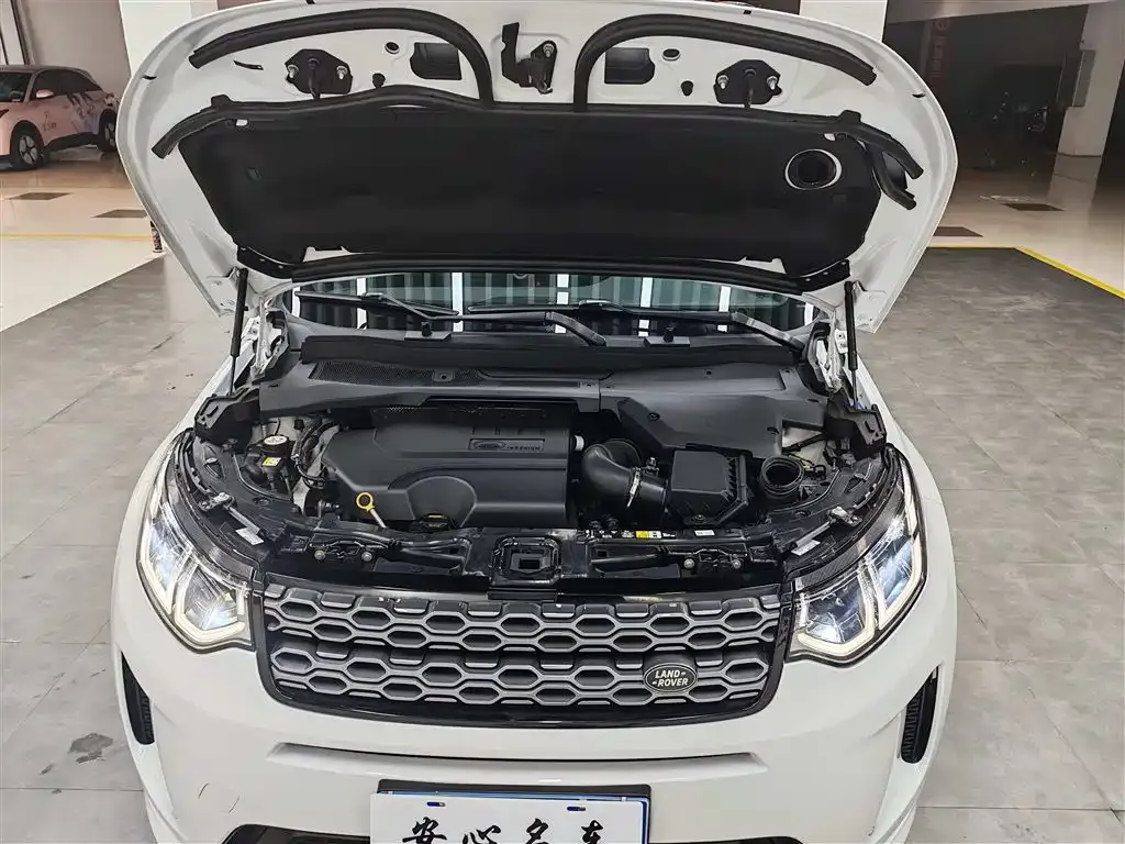 Land Rover Discovery Sport 2021 из CN, фото 3