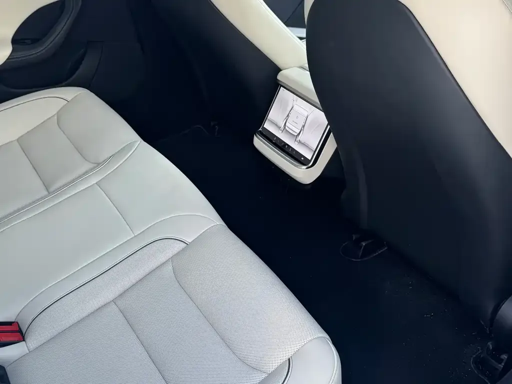 Tesla Model S 2023 из CN, фото 5
