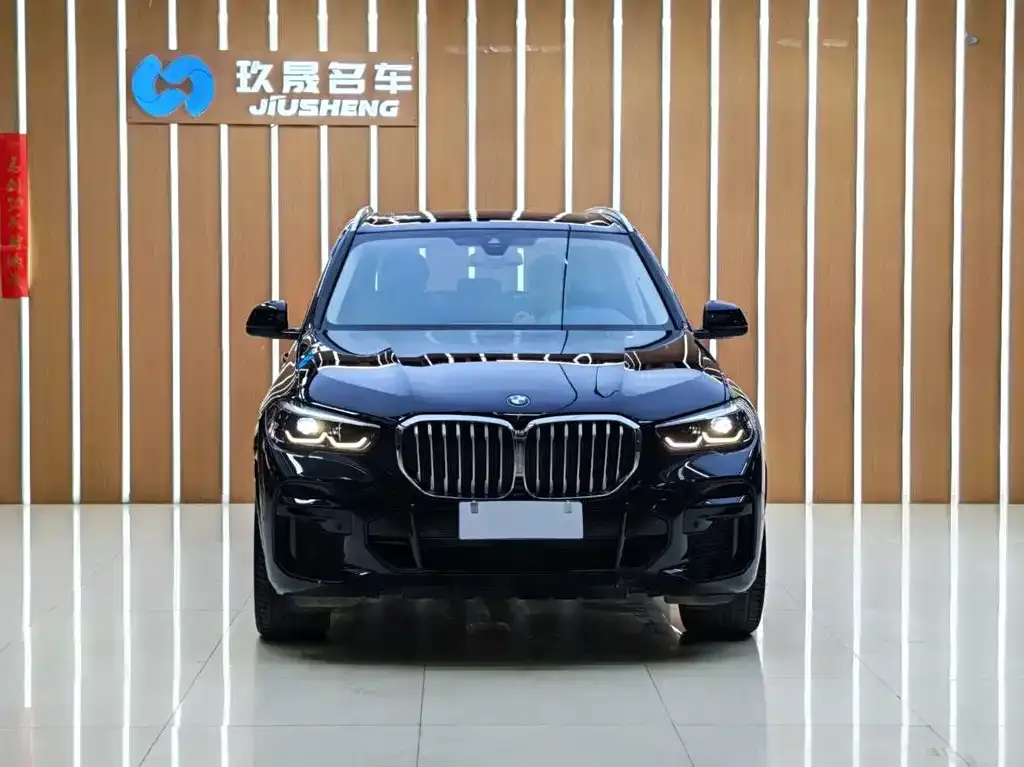 BMW X5 2022 из CN, фото 10