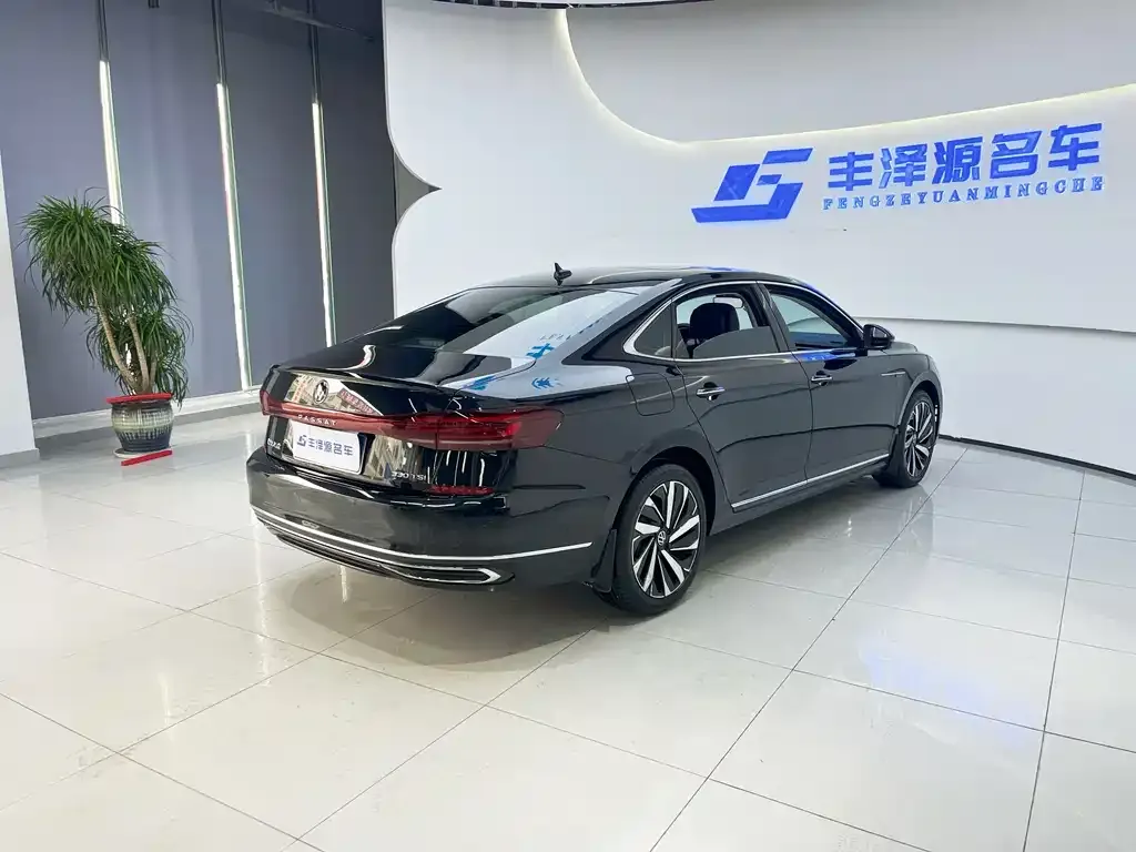 Volkswagen Passat — фото 6