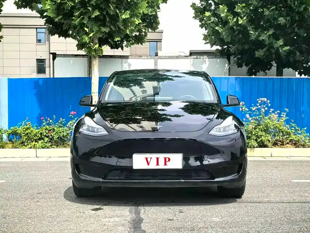 Tesla Model Y — фото 8