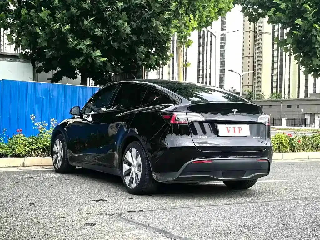 Tesla Model Y — фото 6