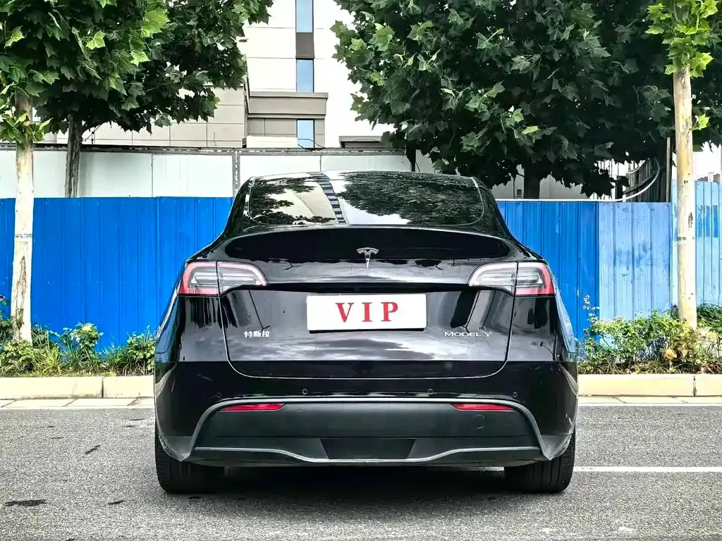 Tesla Model Y — фото 9