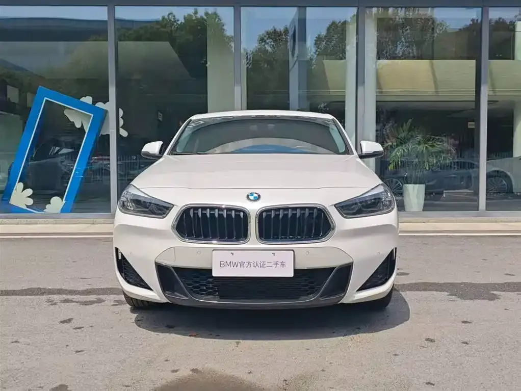 BMW X2 2023 из CN, фото 6