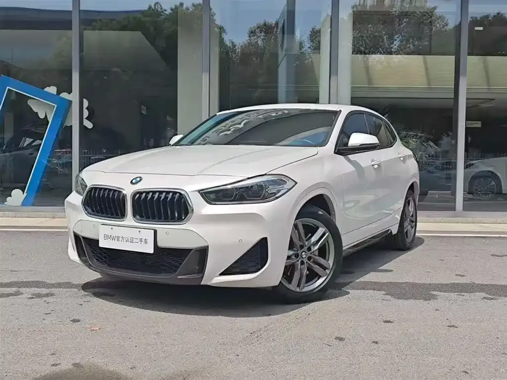 BMW X2 2023 из CN, фото 4