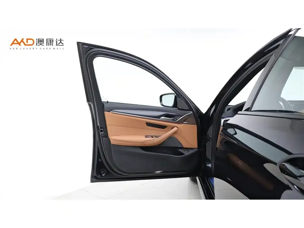 BMW 5 Series (Import) 2021 из CN, фото 10
