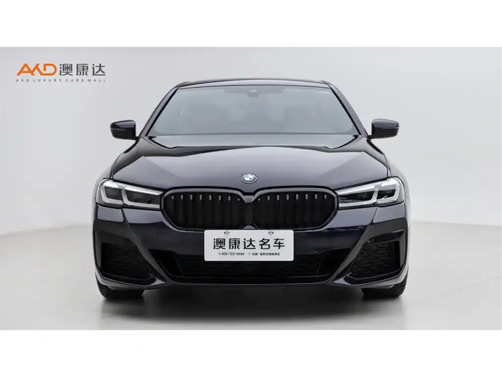 BMW 5 Series (Import) 2021 из CN, фото 3