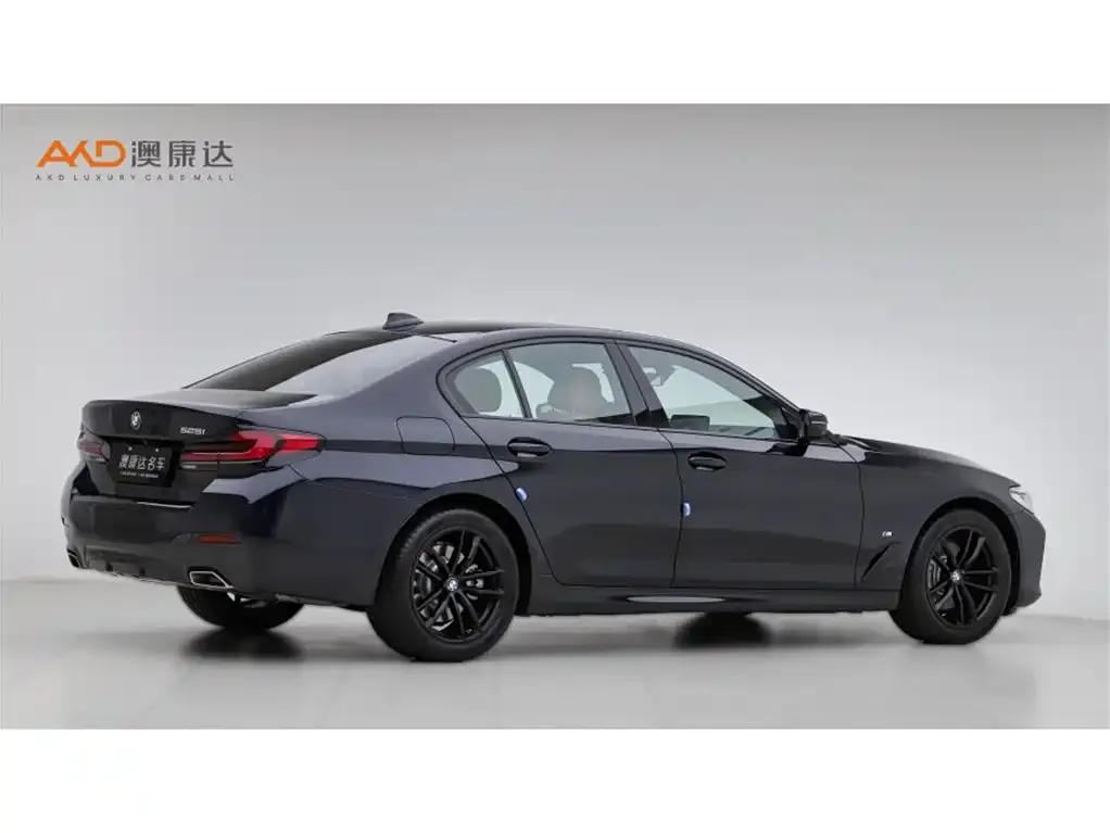 BMW 5 Series (Import) 2021 из CN, фото 5