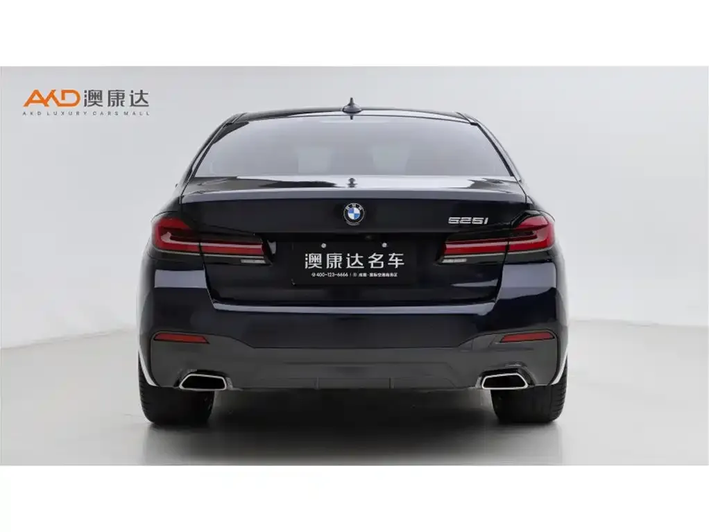 BMW 5 Series (Import) 2021 из CN, фото 6