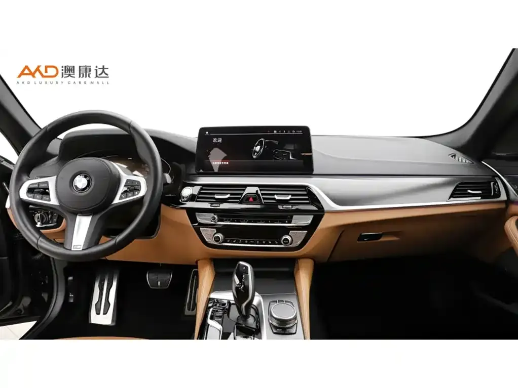 BMW 5 Series (Import) 2021 из CN, фото 4