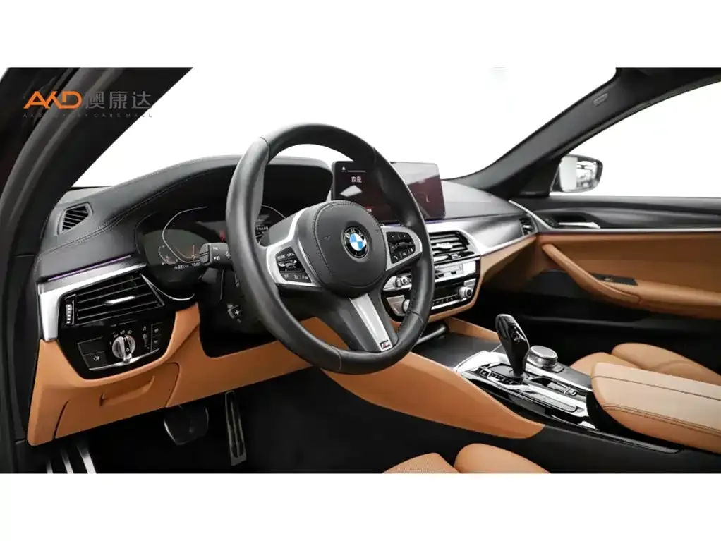 BMW 5 Series (Import) 2021 из CN, фото 9