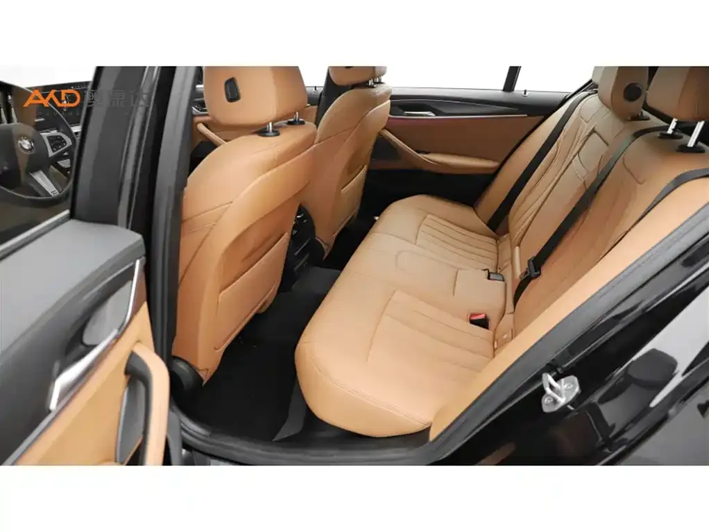 BMW 5 Series (Import) 2021 из CN, фото 7