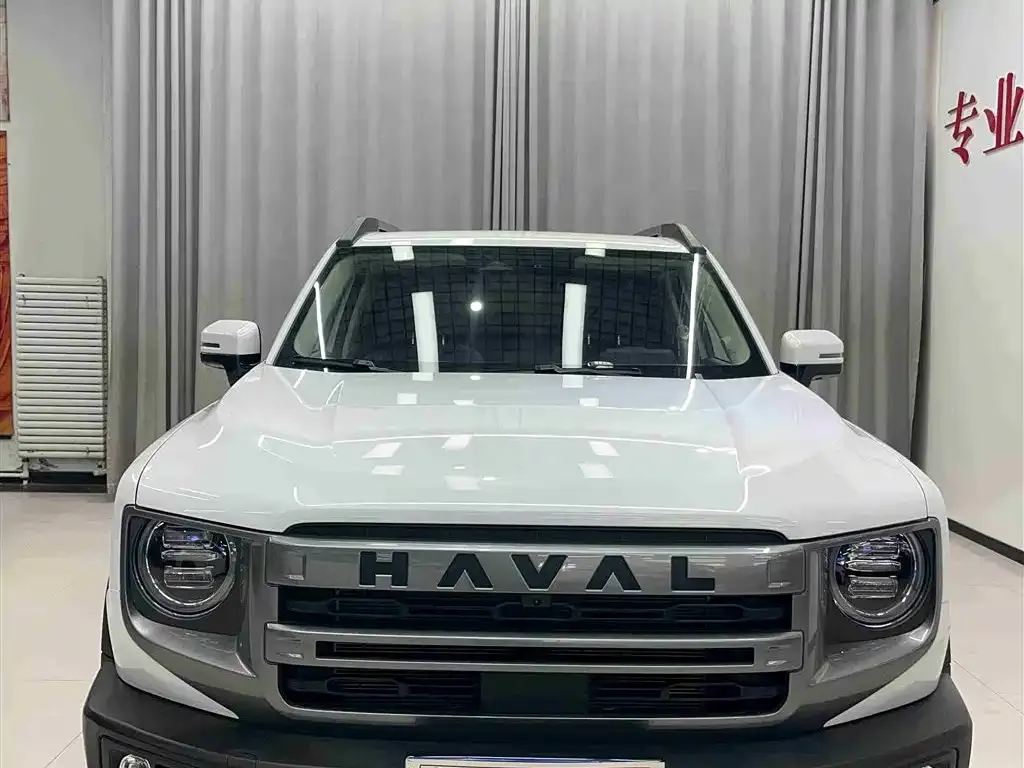 Haval Big Dog — фото 8