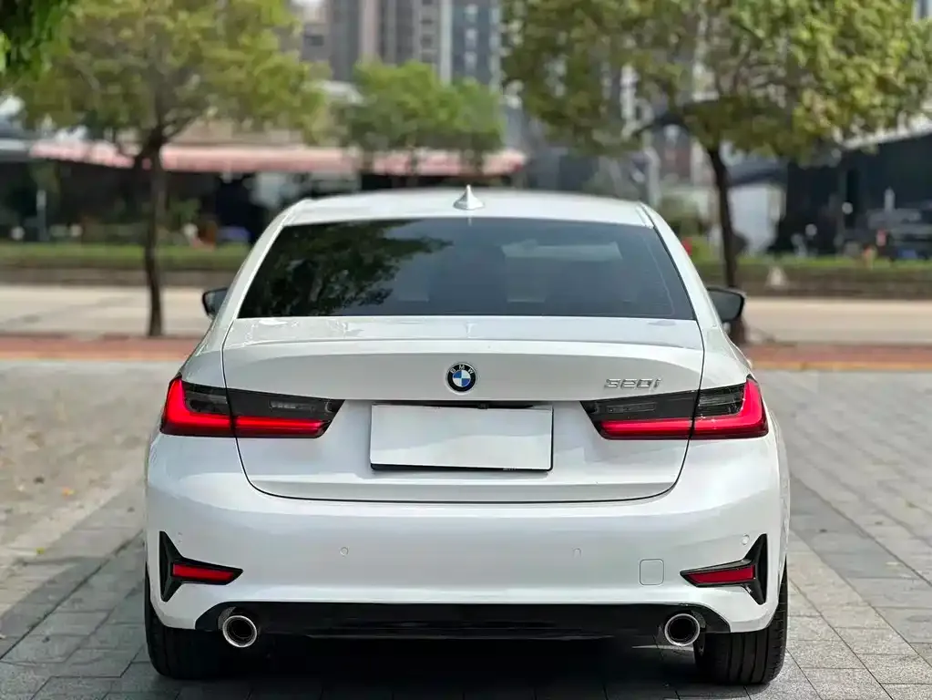 BMW 3 Series 2021 из CN, фото 5