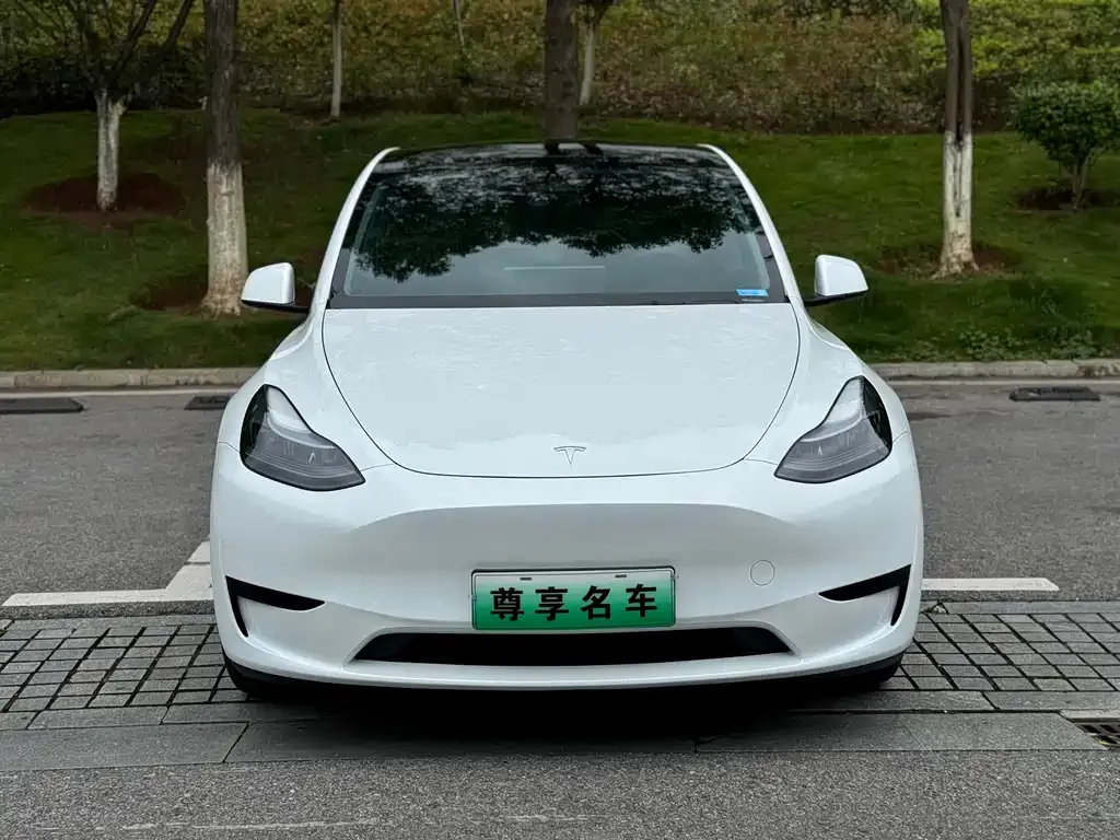Tesla Model Y — фото 5