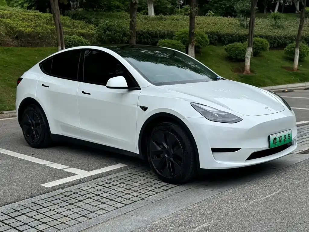 Tesla Model Y — фото 9