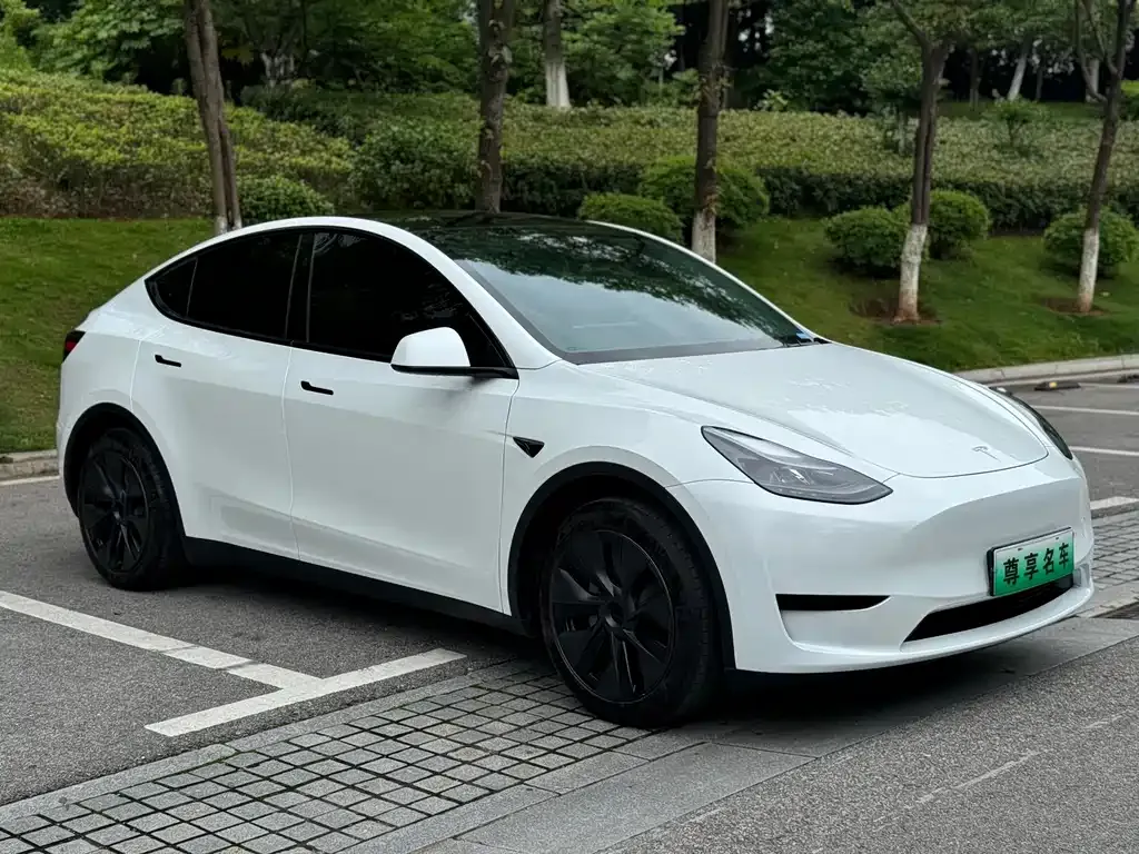 Tesla Model Y — фото 6