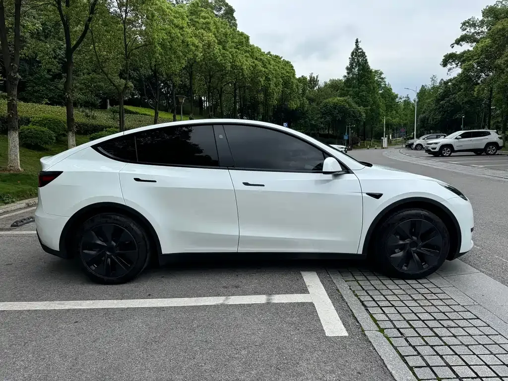 Tesla Model Y — фото 10