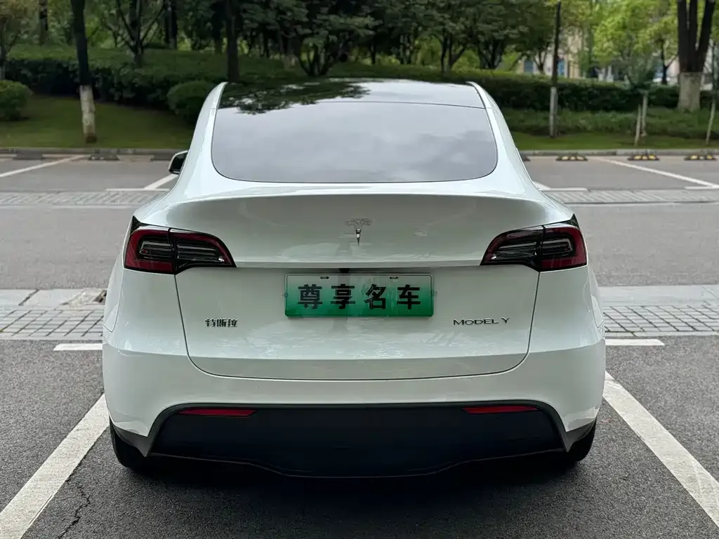 Tesla Model Y — фото 7