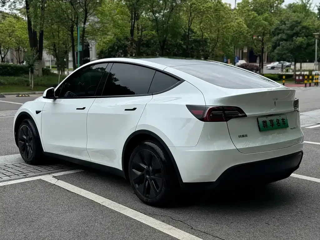 Tesla Model Y — фото 8
