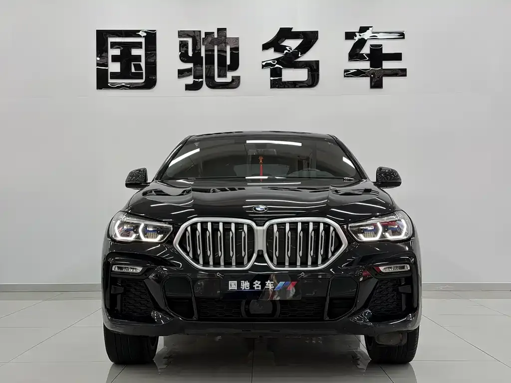 BMW X6 2021 из CN, фото 5