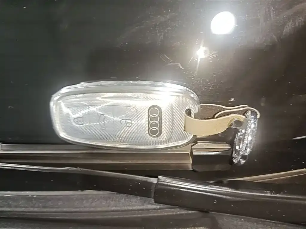 Audi A6L New Energy 2023 из CN, фото 3