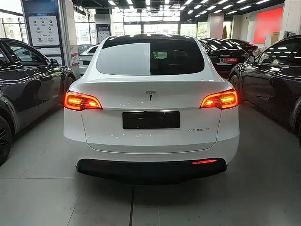 Tesla Model Y — фото 3