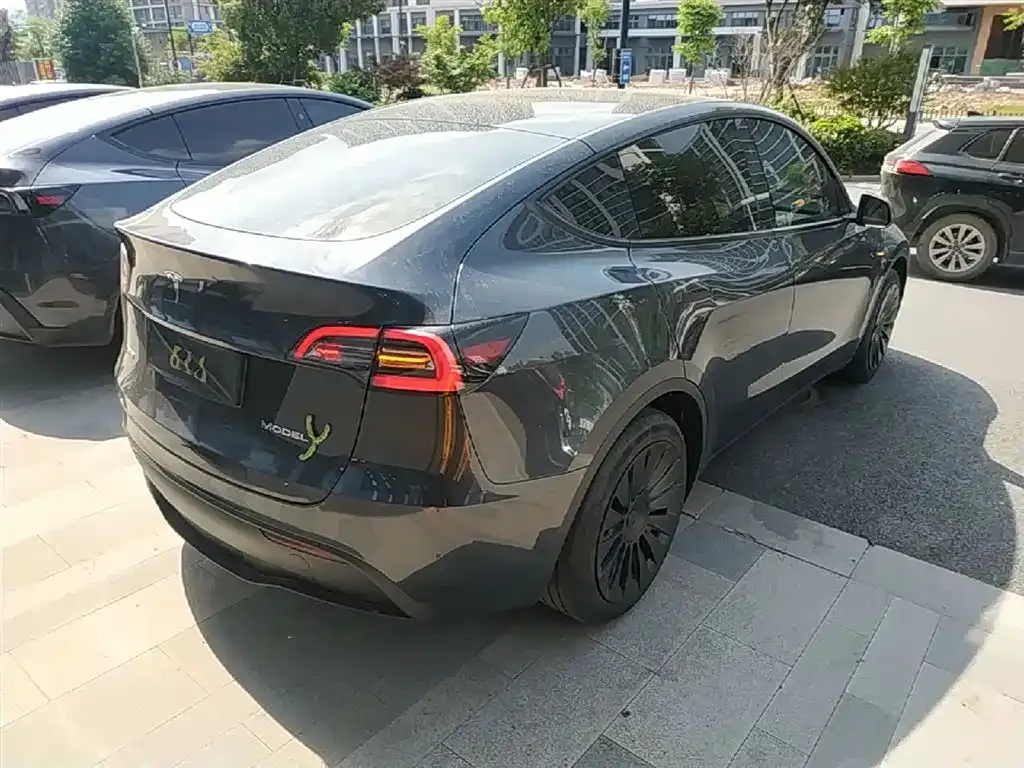 Tesla Model Y — фото 3