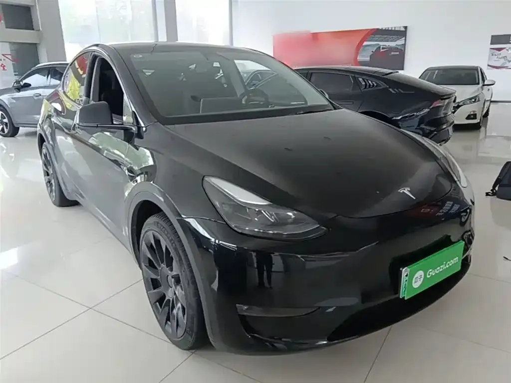 Tesla Model Y — фото 9