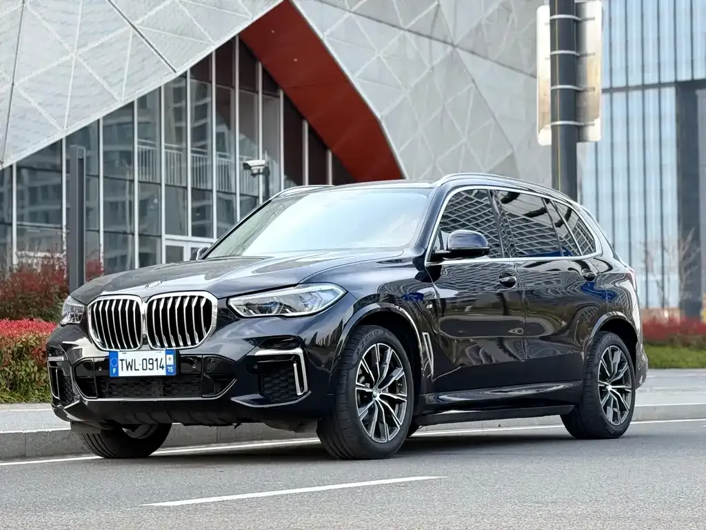 BMW X5 — фото 6