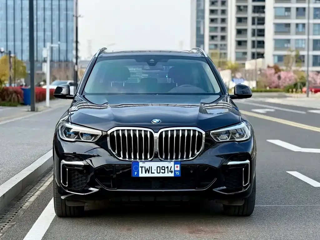 BMW X5 — фото 8