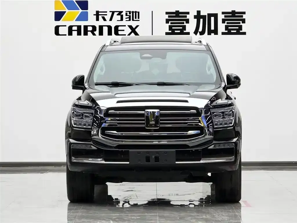 Tank 500 New Energy 2024 из CN, фото 9
