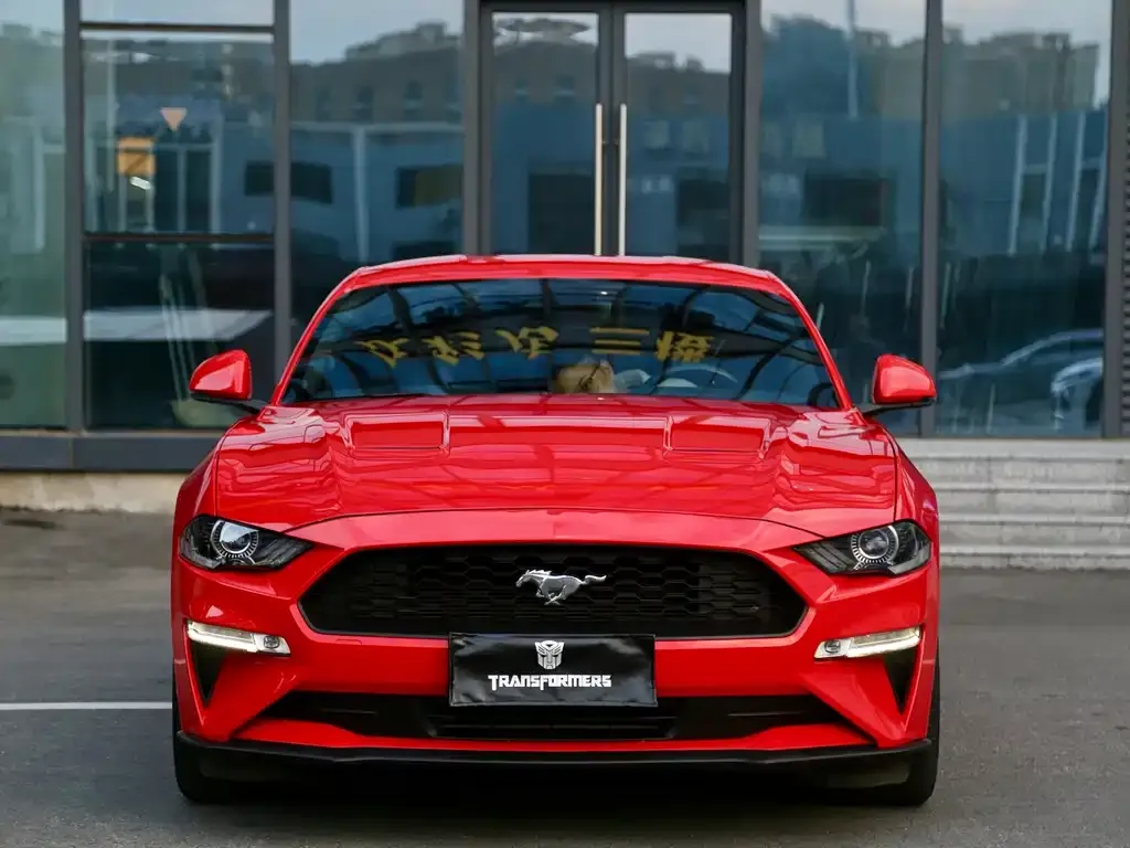 Ford Mustang — фото 10