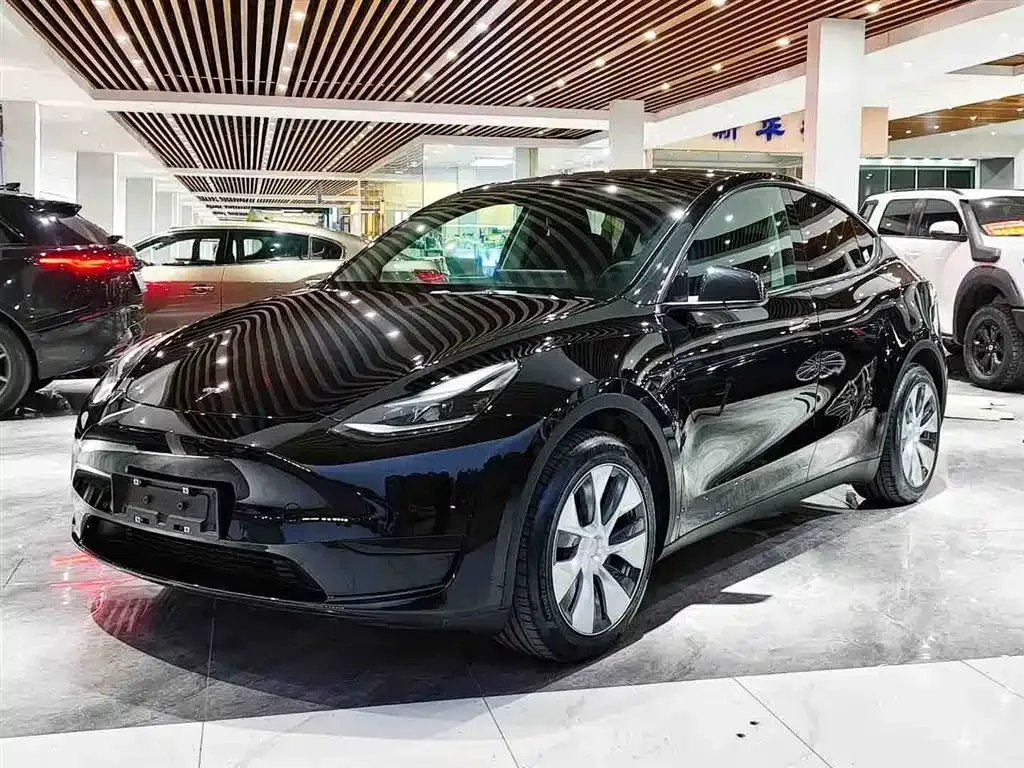 Tesla Model Y — фото 8